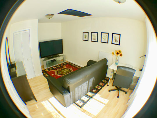 Berkeley Rental Cottage, living room
